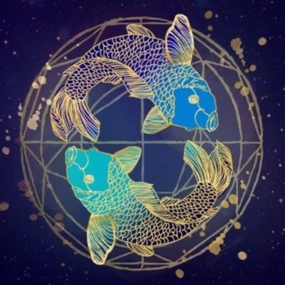 Meet your Posher, Ana